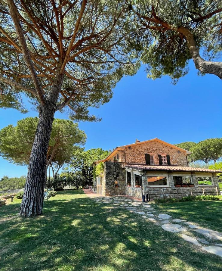 Fattoria Di Magliano Winery Villa Magliano in Toscana Dış mekan fotoğraf