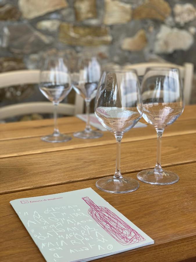 Fattoria Di Magliano Winery Villa Magliano in Toscana Dış mekan fotoğraf