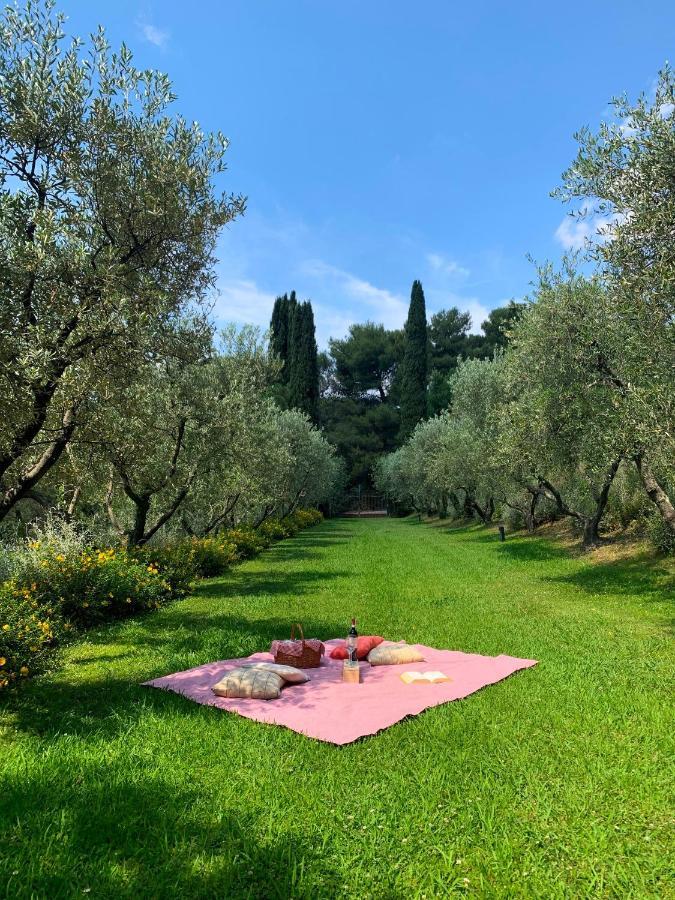 Fattoria Di Magliano Winery Villa Magliano in Toscana Dış mekan fotoğraf