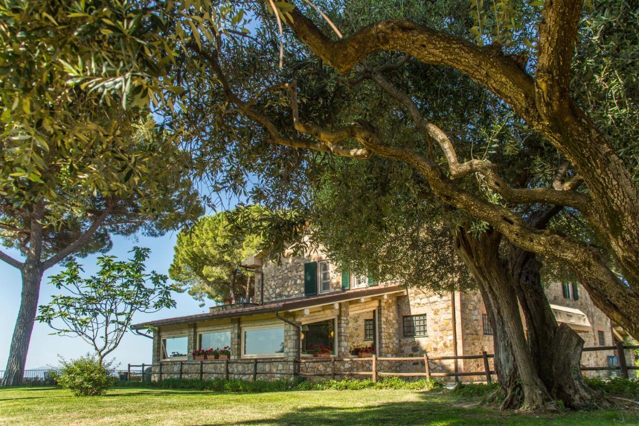 Fattoria Di Magliano Winery Villa Magliano in Toscana Dış mekan fotoğraf