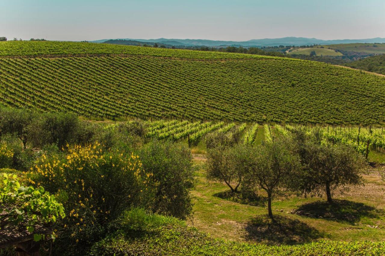 Fattoria Di Magliano Winery Villa Magliano in Toscana Dış mekan fotoğraf
