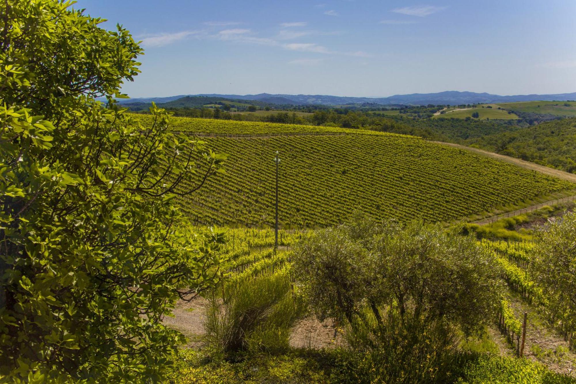 Fattoria Di Magliano Winery Villa Magliano in Toscana Oda fotoğraf